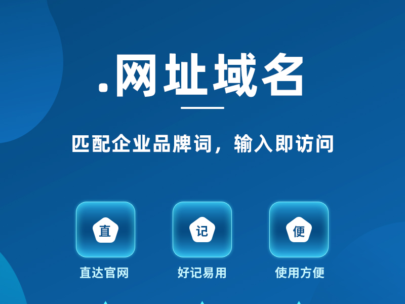.网址域名